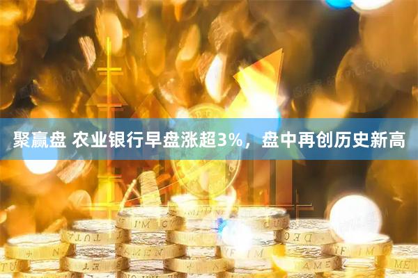 聚赢盘 农业银行早盘涨超3%，盘中再创历史新高