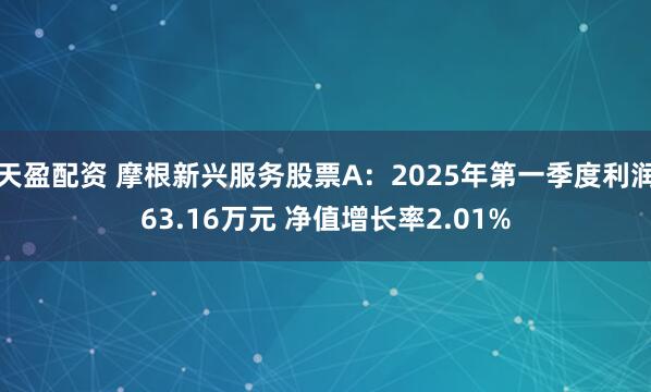 天盈配资 摩根新兴服务股票A：2025年第一季度利润63.16万元 净值增长率2.01%