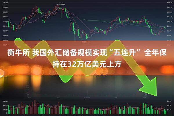 衡牛所 我国外汇储备规模实现“五连升” 全年保持在32万亿美元上方